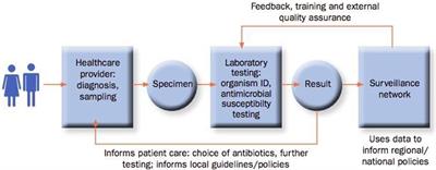 The Role of Professional Learning in Addressing Global Challenges: Tensions and Innovations Associated With AMR